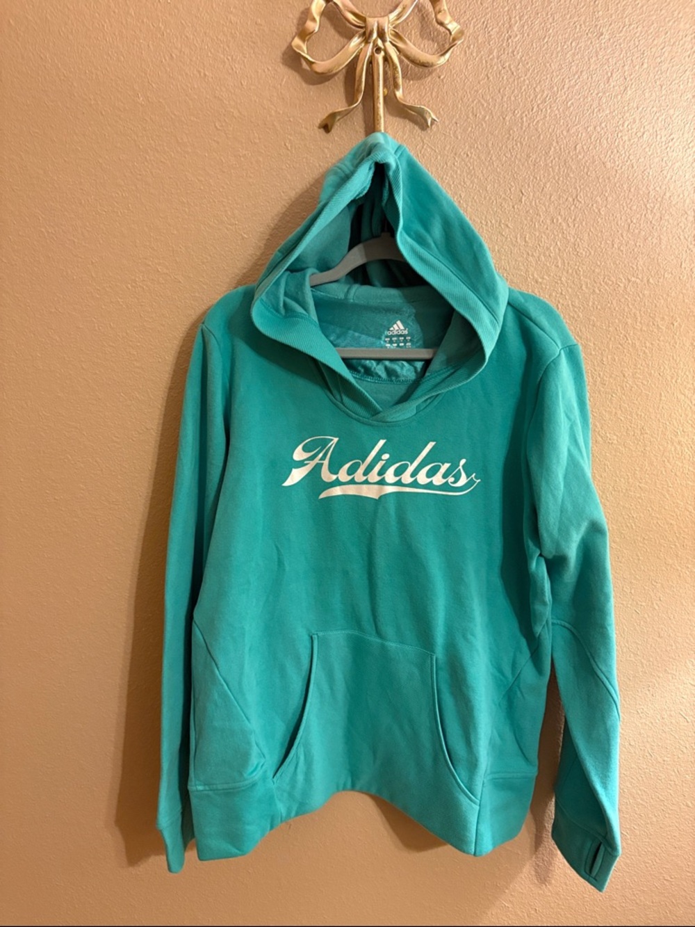 adidas Teal Pullover Hoodie with White Script Logo